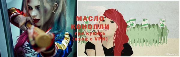 молекула духа Дмитров