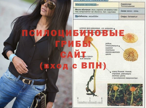ALPHA-PVP Ельня