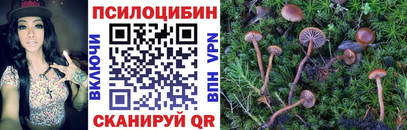 Псилоцибиновые грибы Psilocybe  Невинномысск 