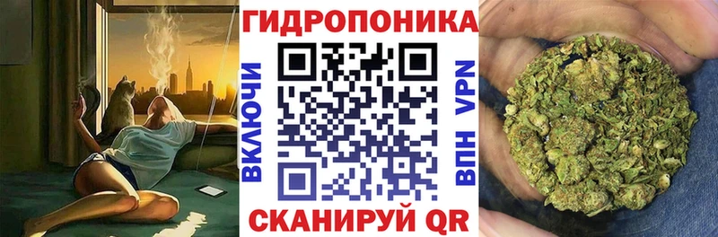 МАРИХУАНА сатива  Невинномысск 