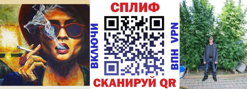 Бошки Шишки конопля Невинномысск